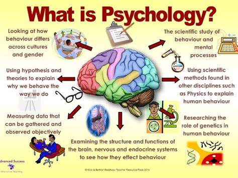 poster   psychology teaching resources