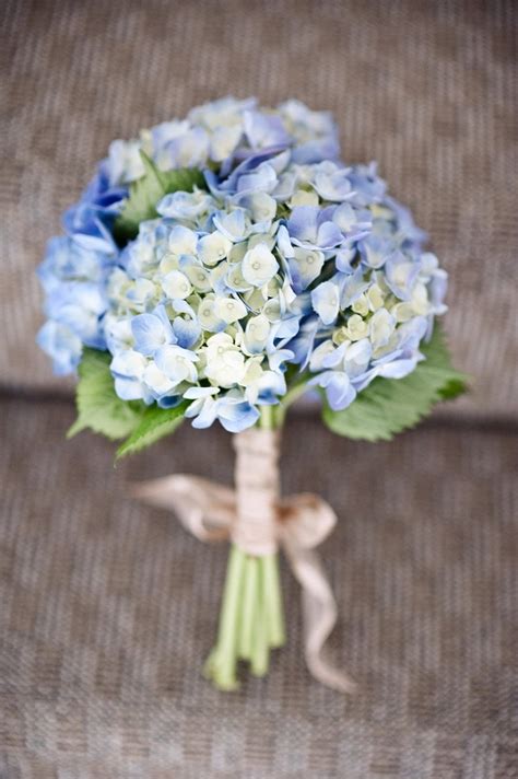 Hydrangea Wedding Flowers Ideas at Joseph Florence blog
