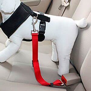 Массажная рукавичка для кошек и собак - ZooGadgets