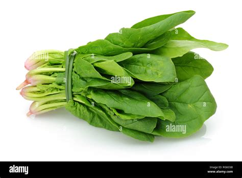 Bunch Of Fresh Spinach Isolated On White Background Stock Photo Alamy