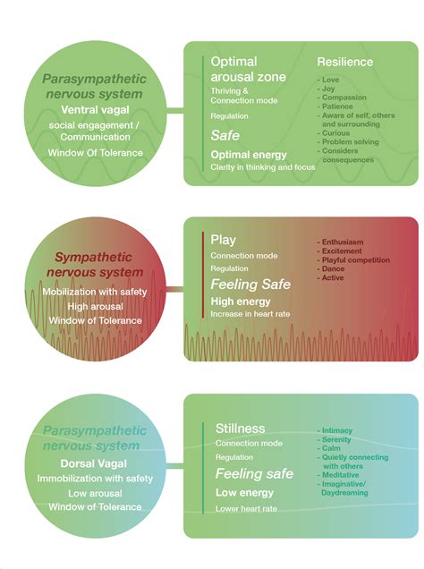 Infographic Nervous System