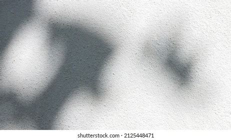 Sexy Body Nude Woman Naked Sensual Stock Photo Shutterstock