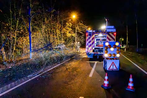 Auto Kracht Gegen Baum Fahrer Schwer Verletzt