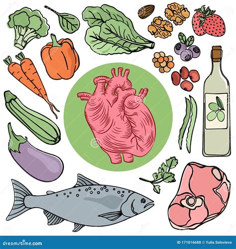 HEART HEALTH FOOD Human Diet Nutrition Vector Illustration Stock