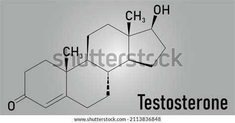 Testosterone Male Sex Hormone Androgen Molecule Stock Vector Royalty Free