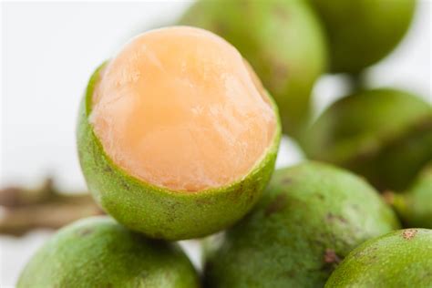 guinep fruit near me