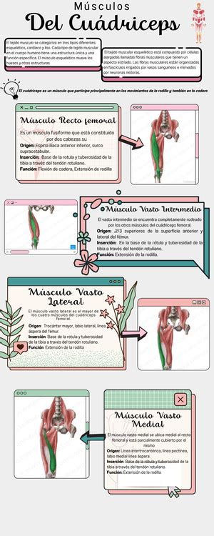 Anatomía Clase 1 Y 2 Apuntes de la Unidad 1 de Anatomía Descriptiva