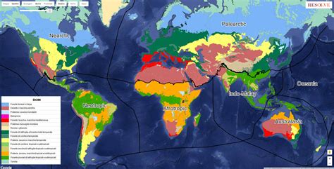 Alla scoperta di biomi ed ecoregioni | Articoli | DLive Geografia