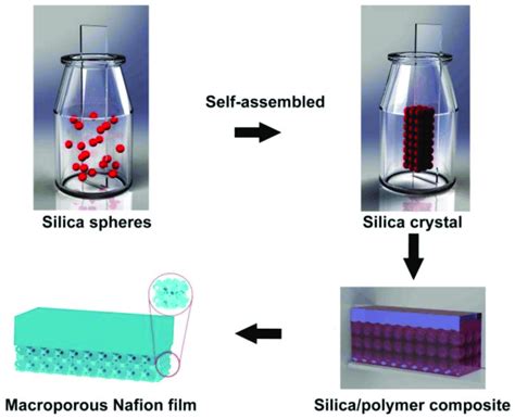 Schematic illustration on the synthesis of Nafion macroporous membrane. | Download Scientific ...