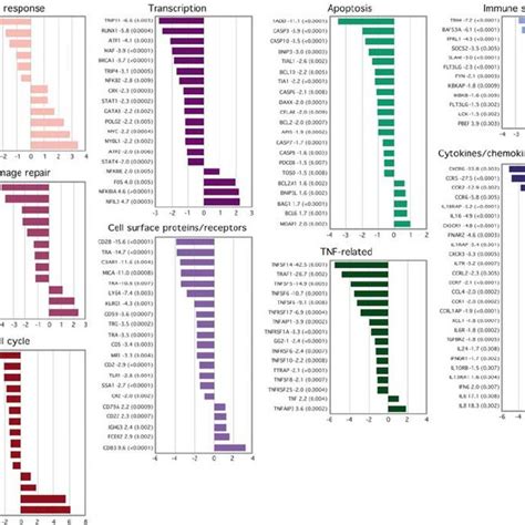 Functional Classification Of Selected Genes Whose Expression Is