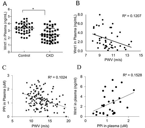 Wnt1 Inhibits Vascular Smooth Muscle Cell Calcification By Promoting