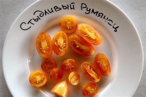 Стыдливый румянец томат описание сорта характеристика