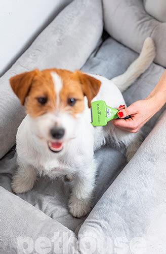 FURminator Undercoat Short Hair Dog S - фурминатор для короткошерстных ...