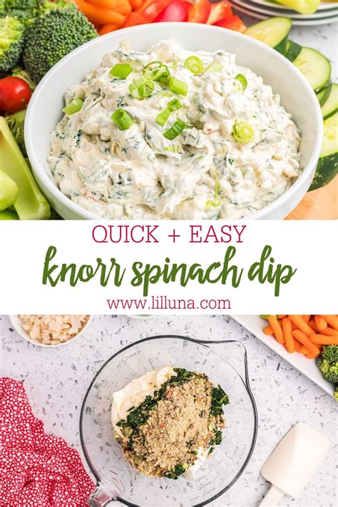 Knorr Spinach Dip Made In Minutes Lil Luna