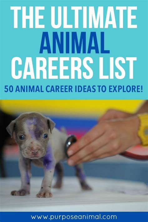 List Of Animal Related Careers