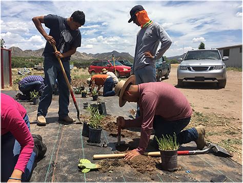 Becy Crew Planting Native Flowers At Patagonia Flower Farm Download
