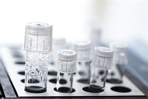 Harvested Human Eggs Photograph by Science Photo Library - Fine Art America