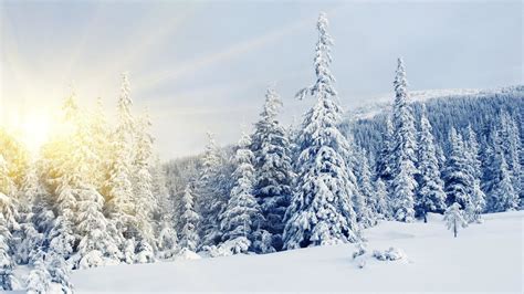 Snowy Desktop Wallpapers - Top Free Snowy Desktop Backgrounds - WallpaperAccess