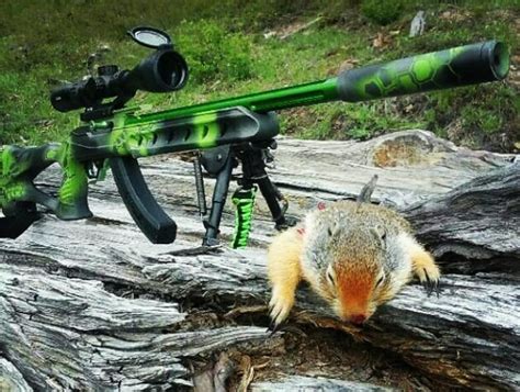 Tincanbandit S Gunsmithing Gun Porn For