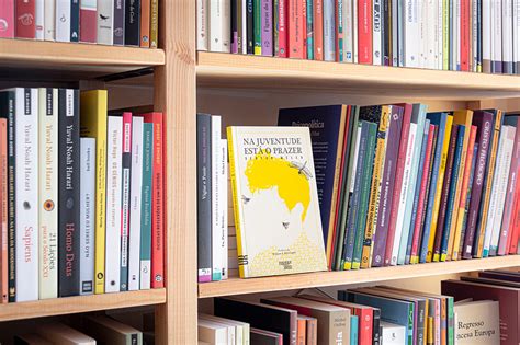 book design illustration standing    shelf  cristina