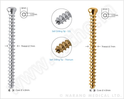 Cancellous Cannulated Screw Mm Mm Thread Cancellous Cannulated