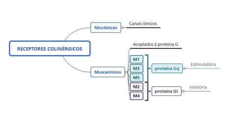 Receptores colinérgicos muscarínicos são assim nomeados devido a sua