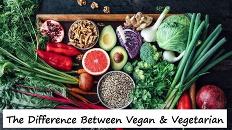 The Difference Between Vegan & Vegetarian