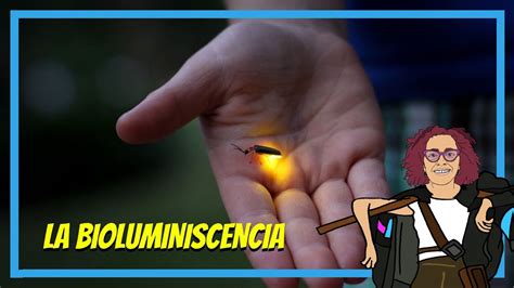 Descobreix la meravellosa bioluminiscència en la natura un fenomen