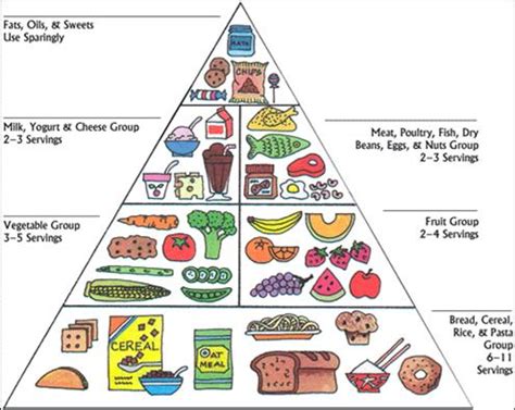 health nutrition project introduction