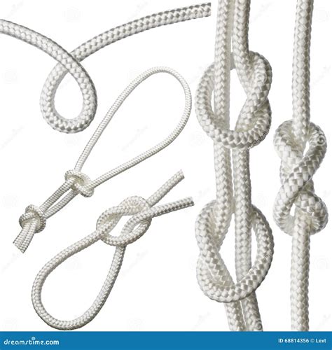 Knots On A Counting Rope Activity 8