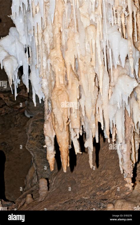 Stalactites and stalagmites in limestone cave Stock Photo - Alamy