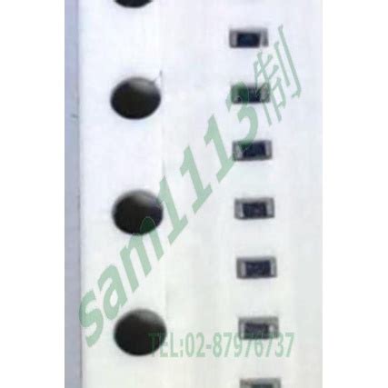 113電阻 CHIP R 0402 10 歐姆 5% 晶片型SMD 貼片電阻 代碼100 >>200個 | 蝦皮購物