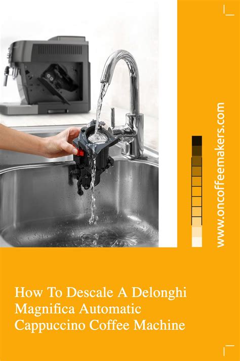 Descaling Delonghi Autentica Coffee Machine at Albert Streets blog