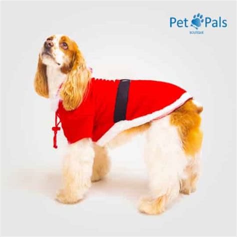 Disfraz De Santa Claus Para Perro Pet Pals Boutique