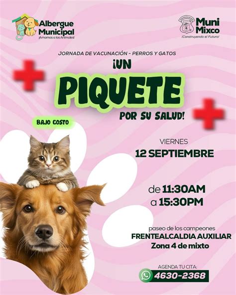 Albergue Municipal... - Albergue Municipal de Mascotas Mixco