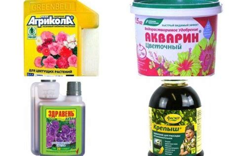 Чем подкармливать петунию для обильного цветения