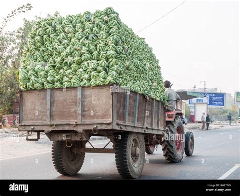 loaded tractor  res stock photography  images alamy