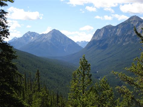 Unsettling the Future by Uncovering the Past: Decolonizing Academic