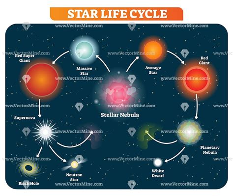 Life Cycle Of Stars Drawing - Drawing.rjuuc.edu.np