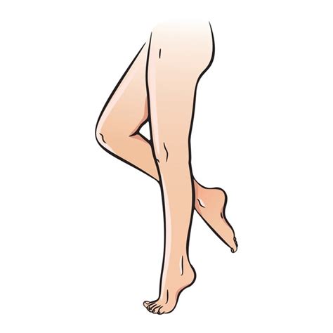 Beautiful Naked Legs Over Royalty Free Licensable Stock Illustrations Drawings
