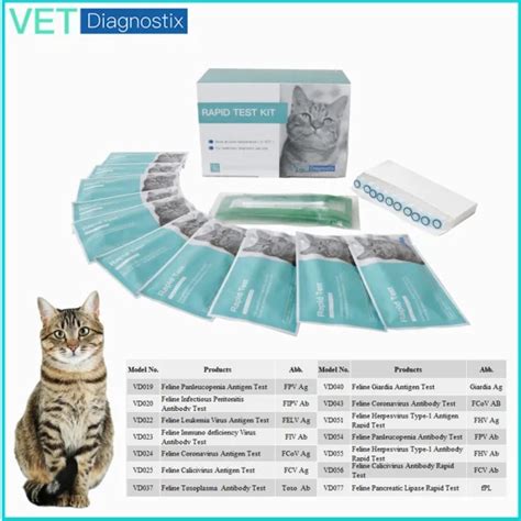 Cat Fip Test Kit Feline Infectious Peritonitis Virus Fipv Ab Rapid Test