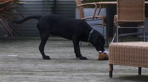 Megan Coxxx Porn Videos Porn Star Sex Scenes Xhamster