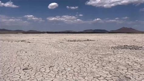 Cientos De Miles De Peces Muertos Por Sequ A En El Norte De M Xico