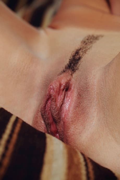 Pussy Trim And Landing Strip Thread Page XNXX Adult Forum