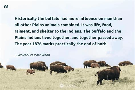 18 Buffalo Quotes About The Robust Bovids