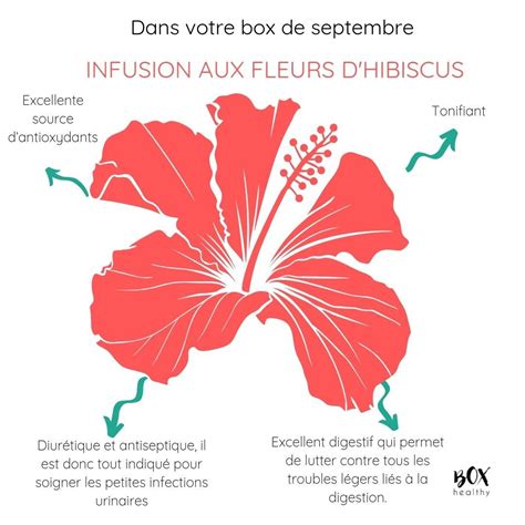 DANS LA BOX DE SEPTEMBRE Le Bissap Les Fleurs D Hibiscus