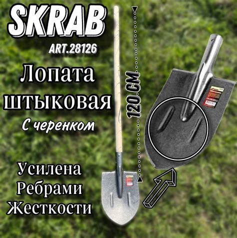 Лопата штыковая Skrab, Высокоуглеродистая сталь купить по выгодной цене ...