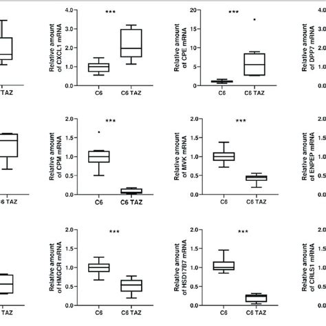 | IPA Upstream Regulator Analysis for identification of upstream ...