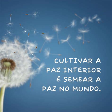 Frases Curtas Da Paz - 40 Frases do Dia Mundial da Paz que Refletem Solidariedade - Me Apaixonei