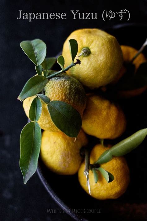 Japanese Yuzu Lemon - Yuzu Citrus Fruit for Japanese Recipes ...